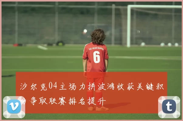 沙尔克04主场力拼波鸿收获关键积分争取联赛排名提升
