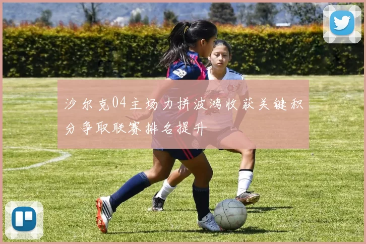 沙尔克04主场力拼波鸿收获关键积分争取联赛排名提升