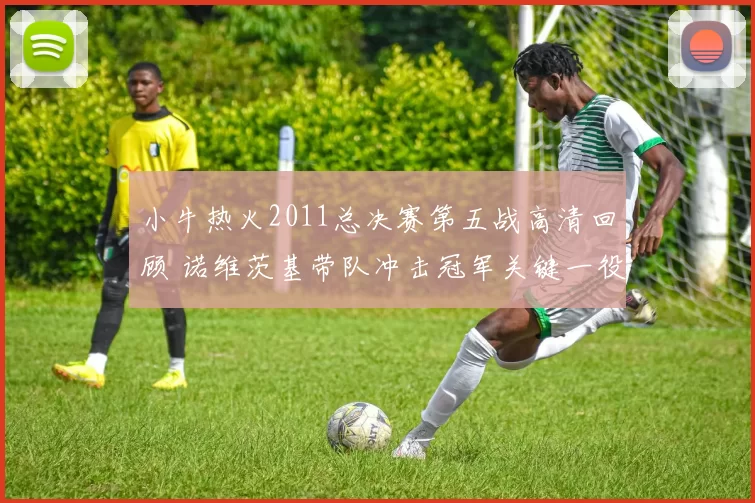 小牛热火2011总决赛第五战高清回顾 诺维茨基带队冲击冠军关键一役