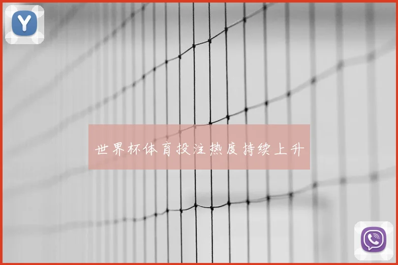 世界杯体育投注热度持续上升