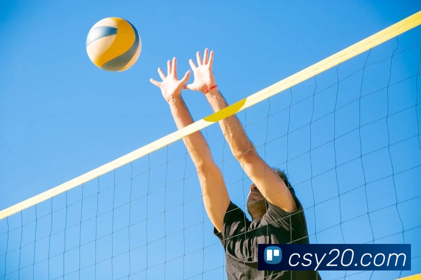 新爱体育平台(中国)官网入口平台生态图